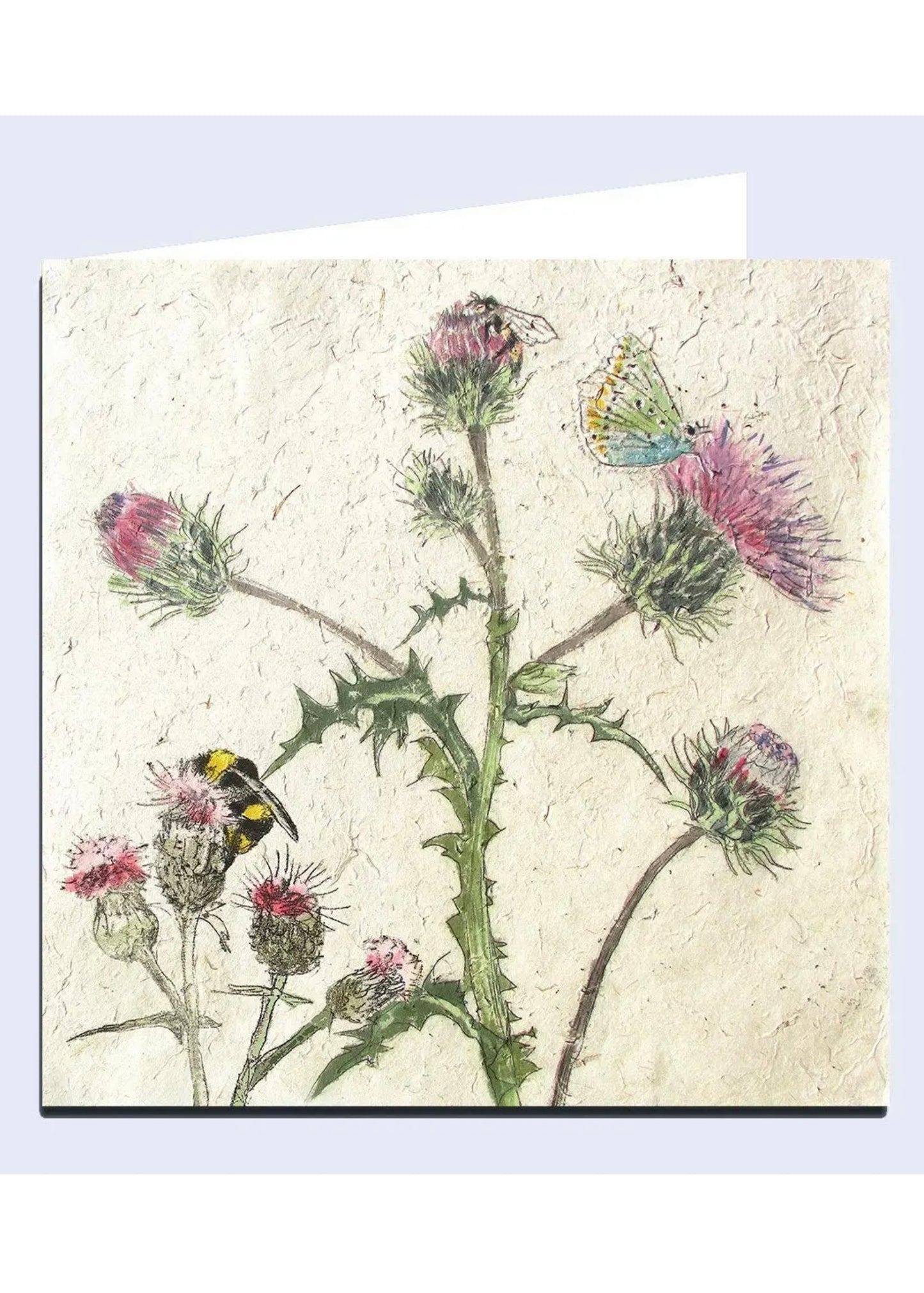 'Thistle' Note Card