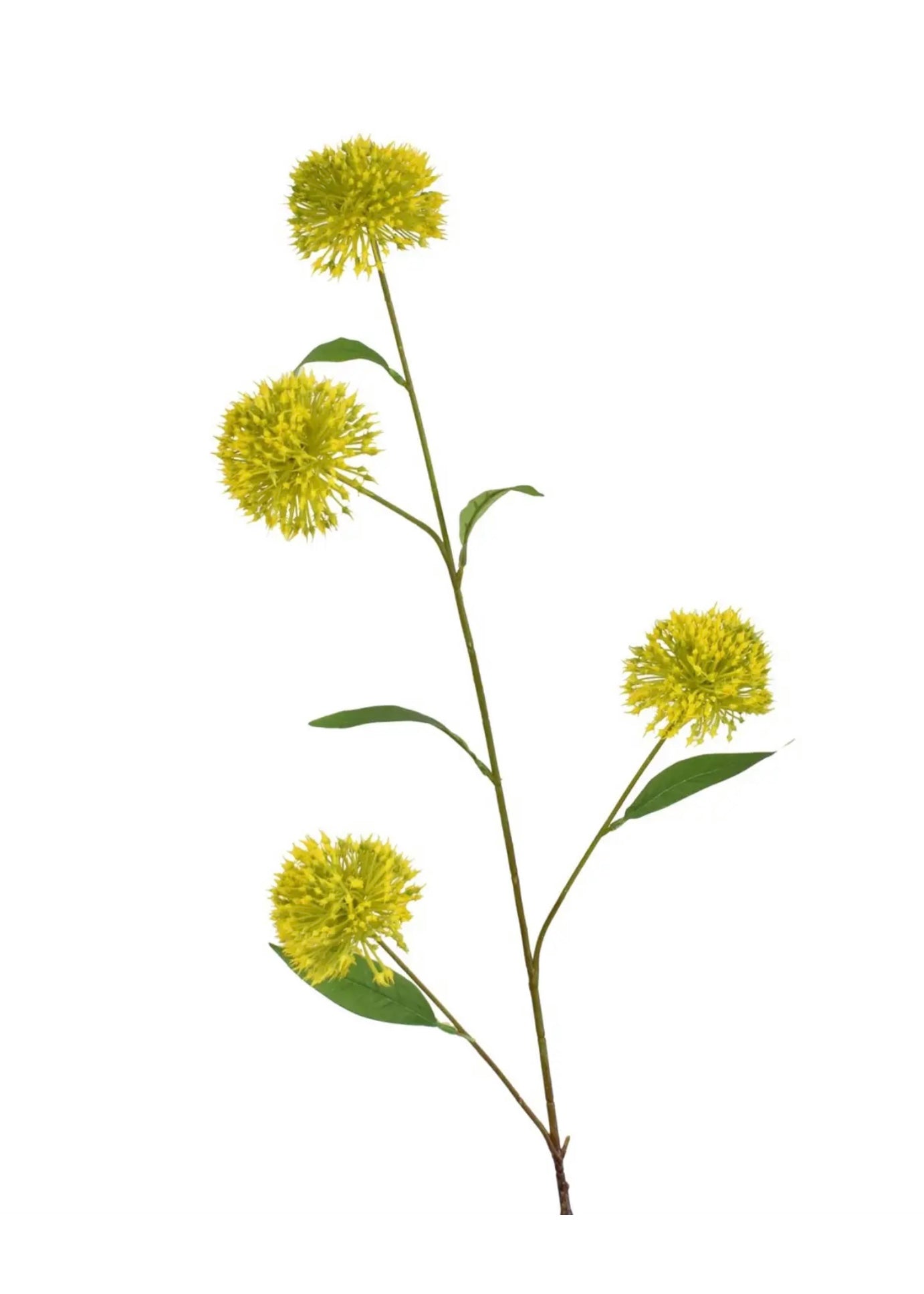 Onion Flower Spray-Yellow