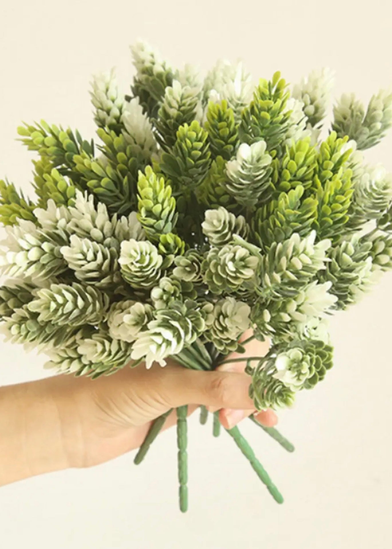 Frosted sedum hops - Green