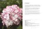 Hydrangeas Book