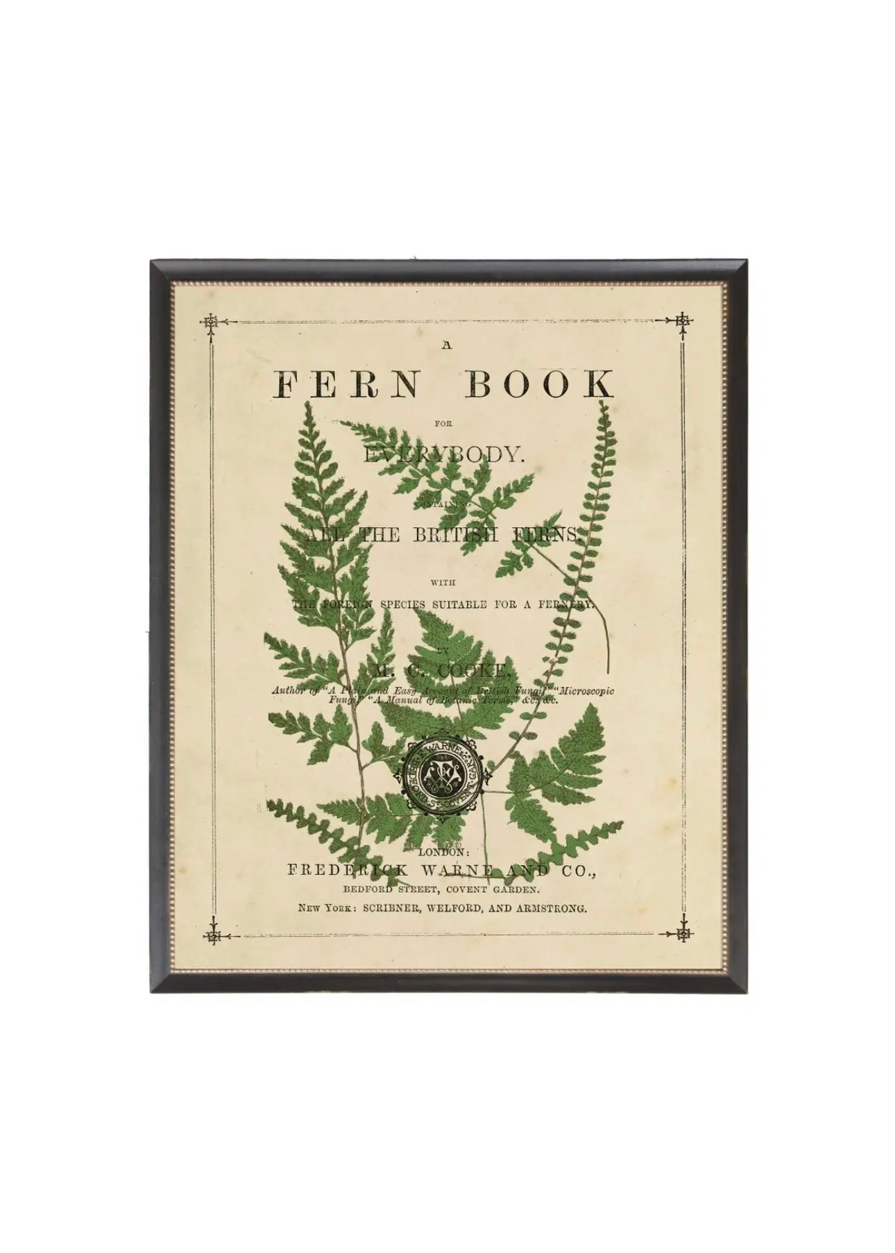 Fern On Vintage Book Title Page