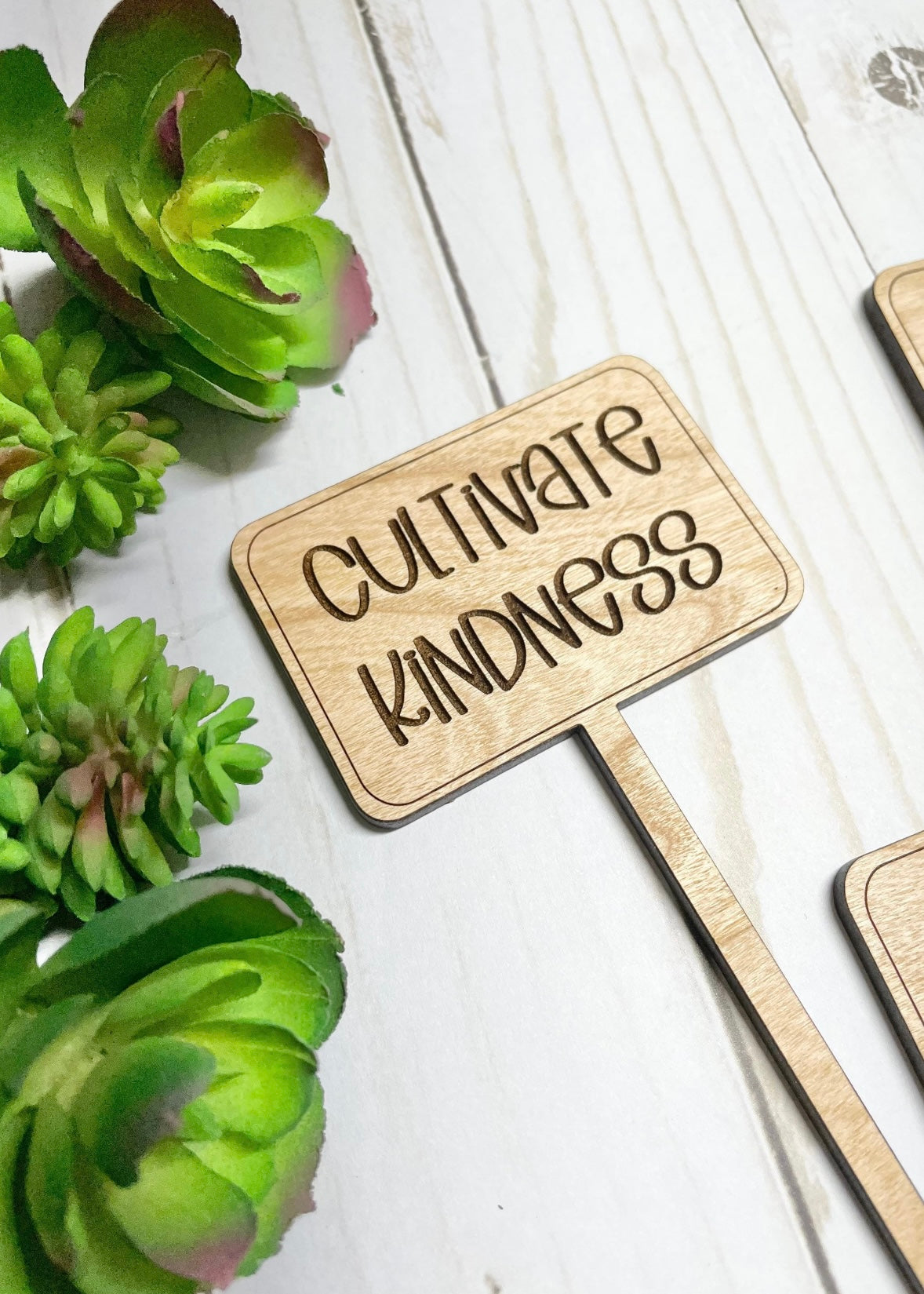 Motivational Plant Signs