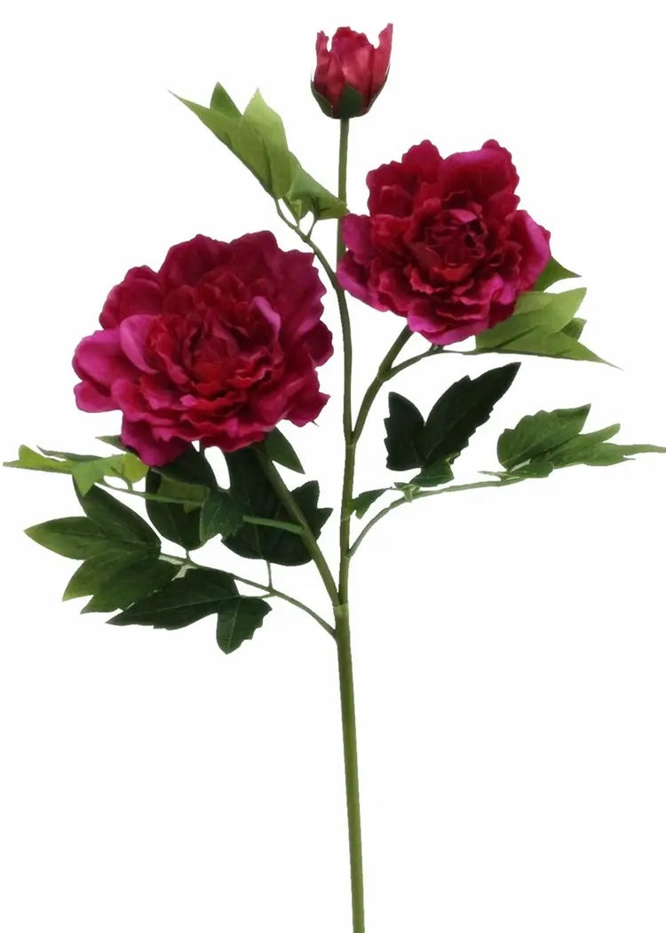 Peony Stems-Fuchsia