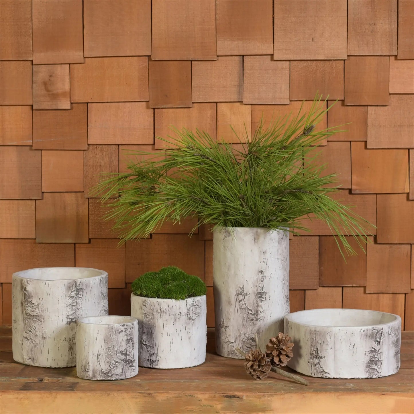 Faux Birch Cylinder