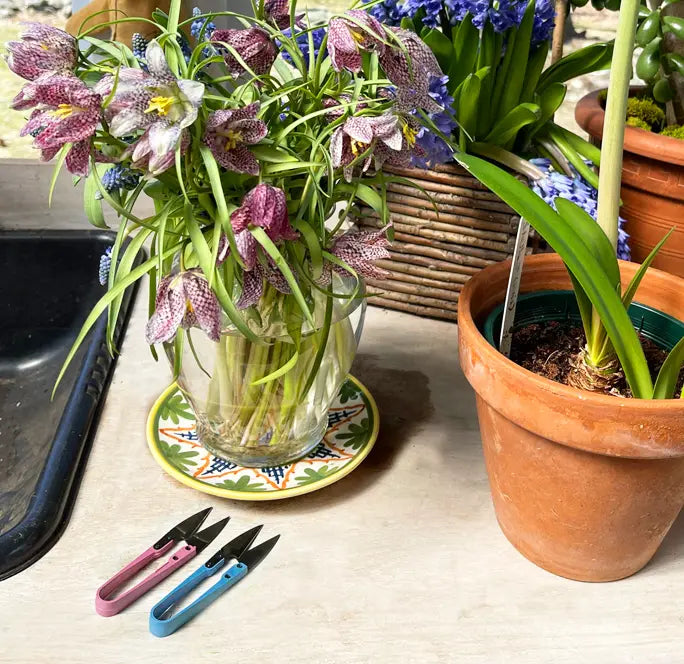 Pink Plant Snips