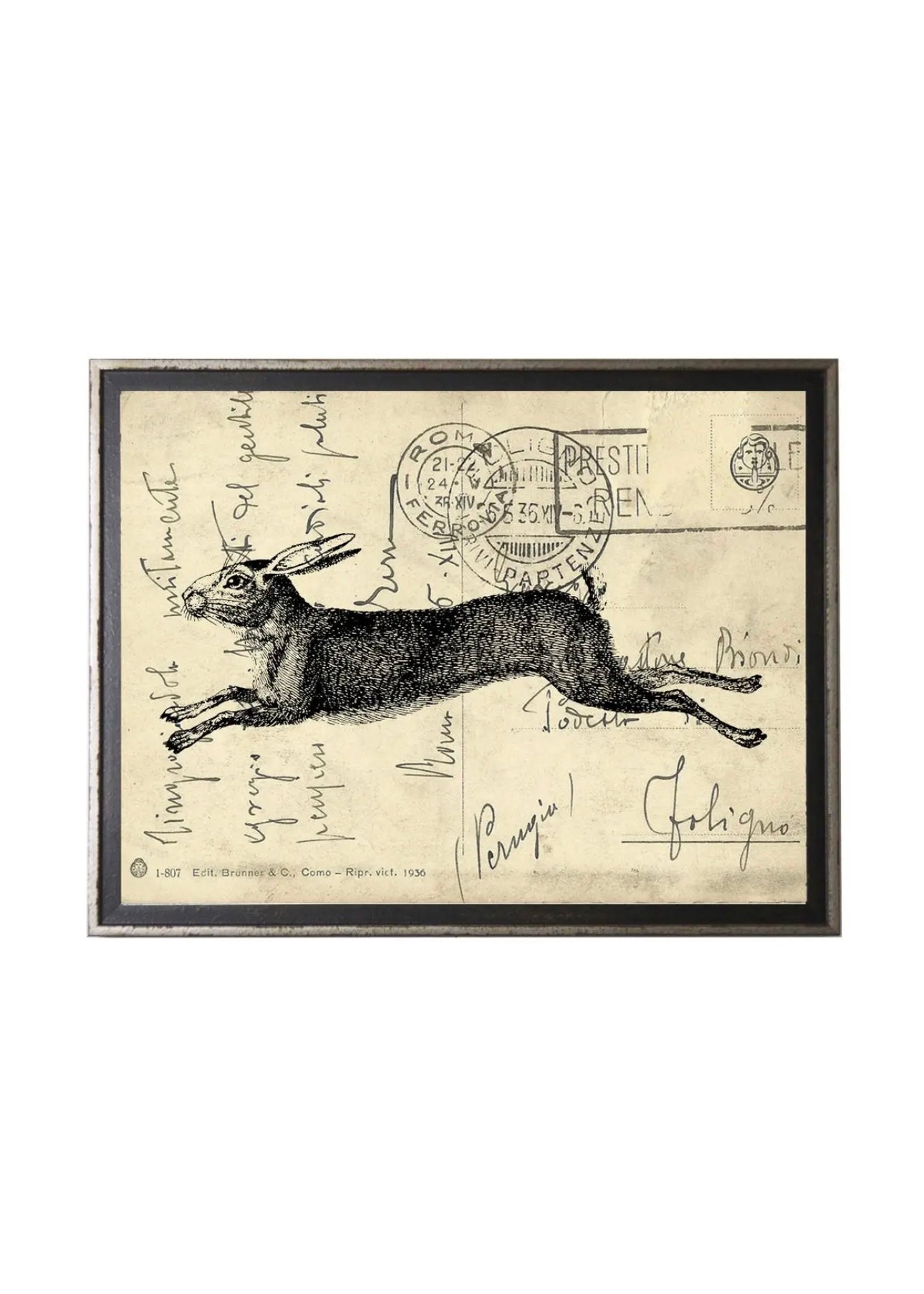 Hare Postcard Art