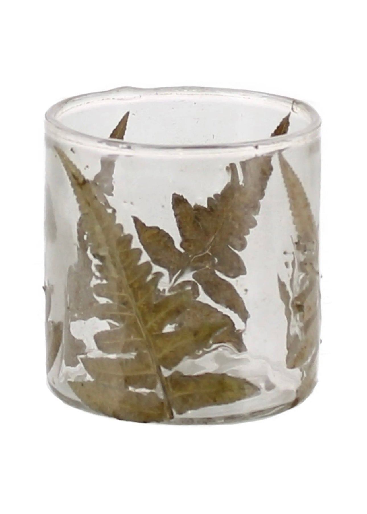 Enameled Fern Hurricane