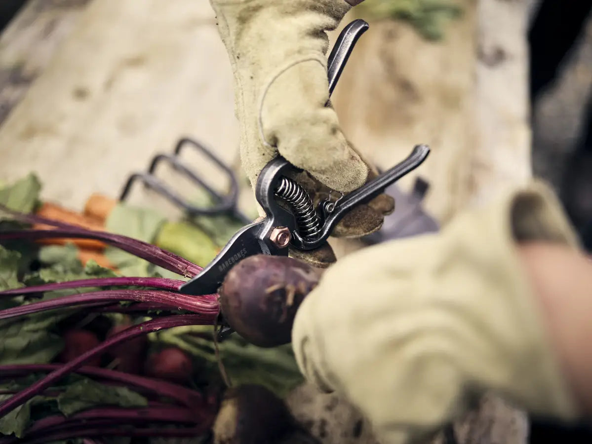 Barebones Pruner
