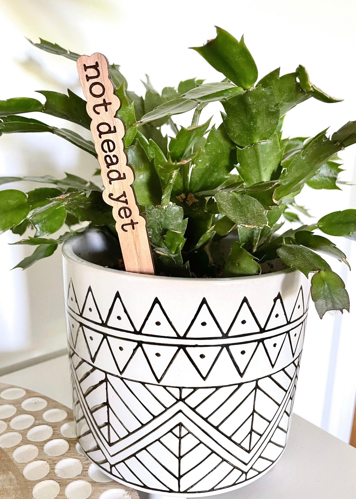 Punny Plant Stakes