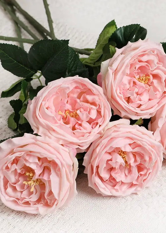 Cabbage Rose-Light Pink