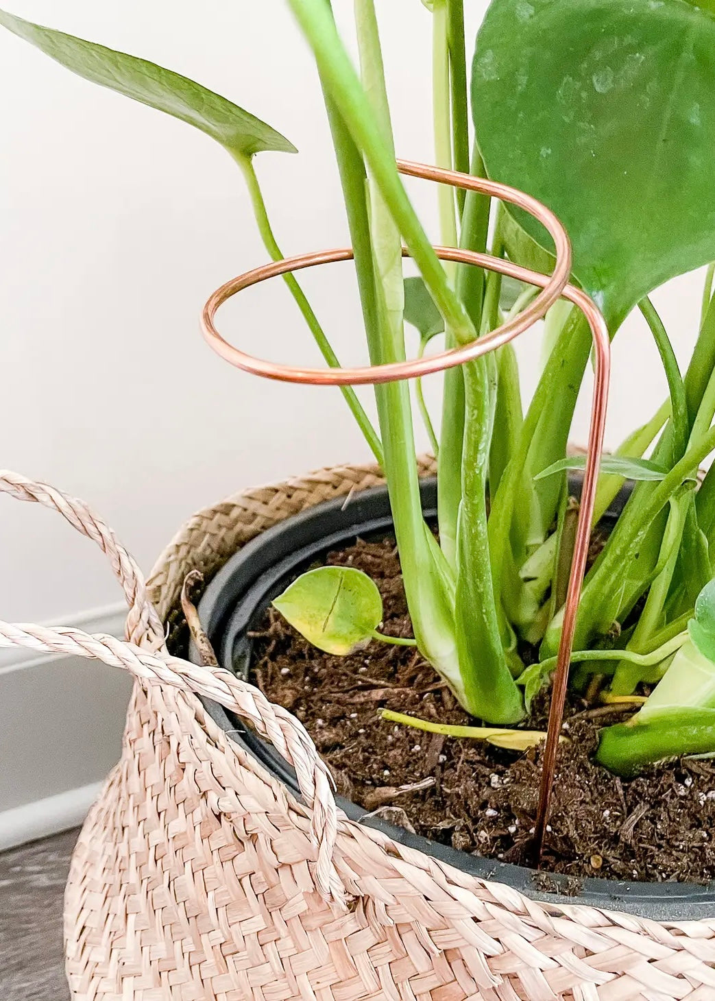 9” Copper Loop Plant Trellis