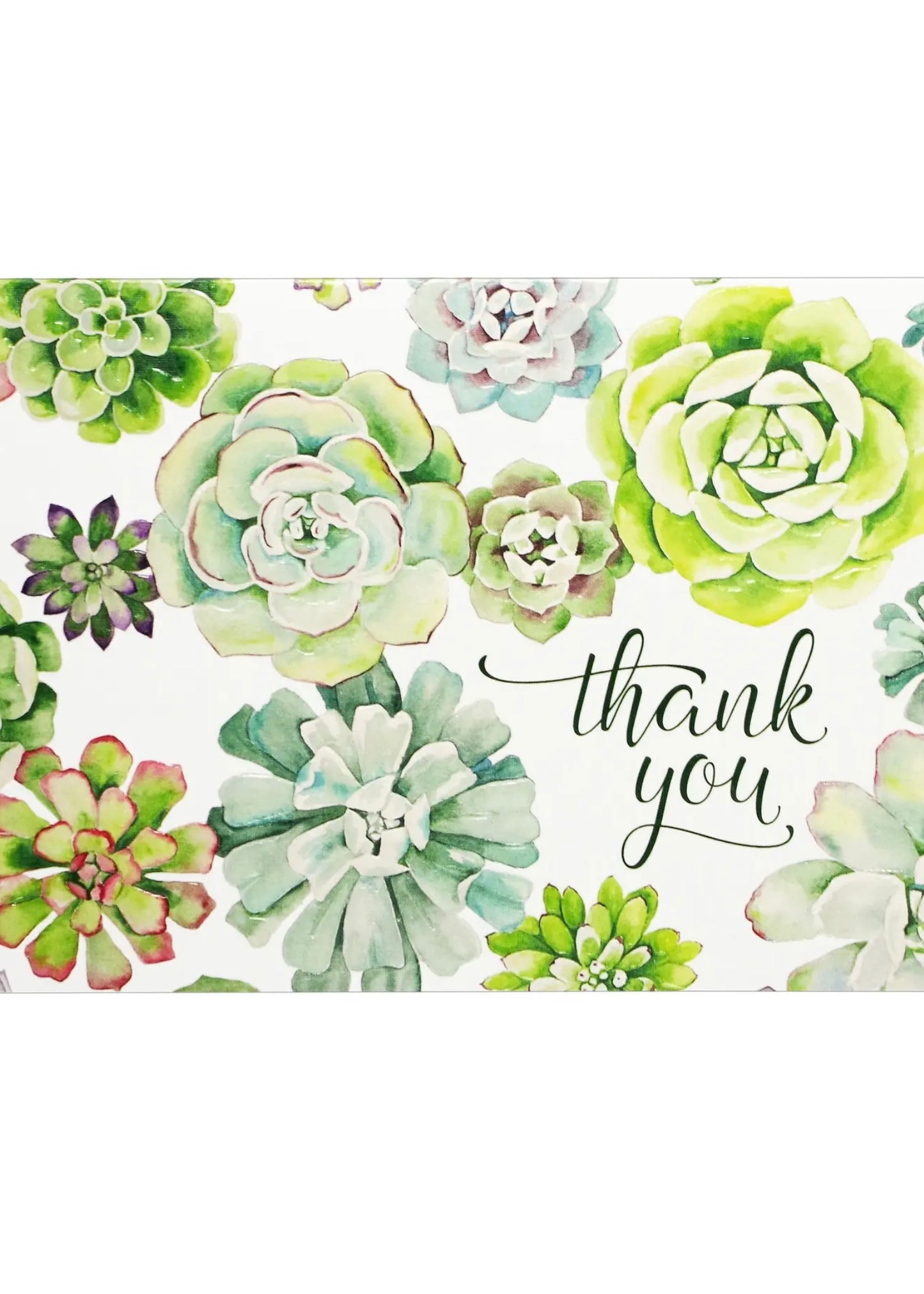 Succulent Garden Thank You Notes