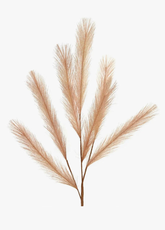 Pampas Plume - Coral