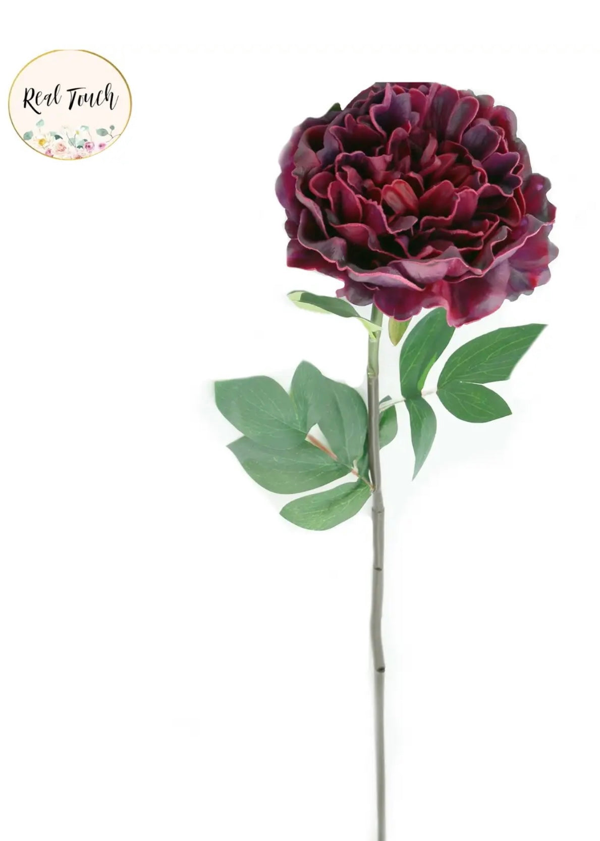 Peony Blooms- Rich Purple