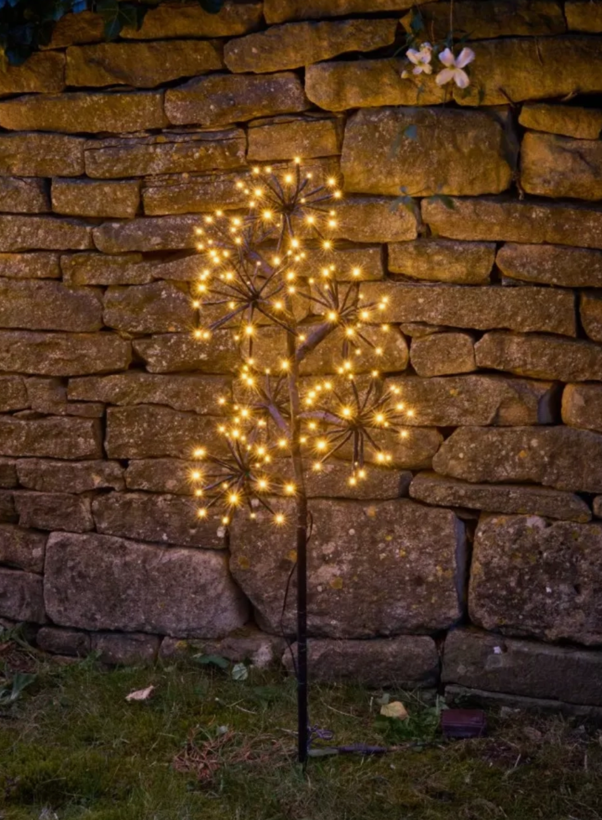 Solar Starburst Branch