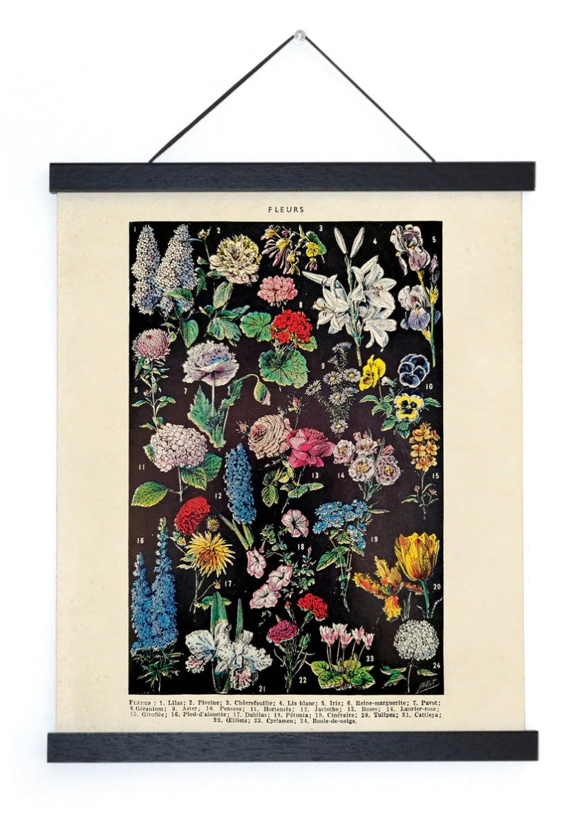 Fleurs 2 Garden Flower Vintage Botanical Print w/ Black frame
