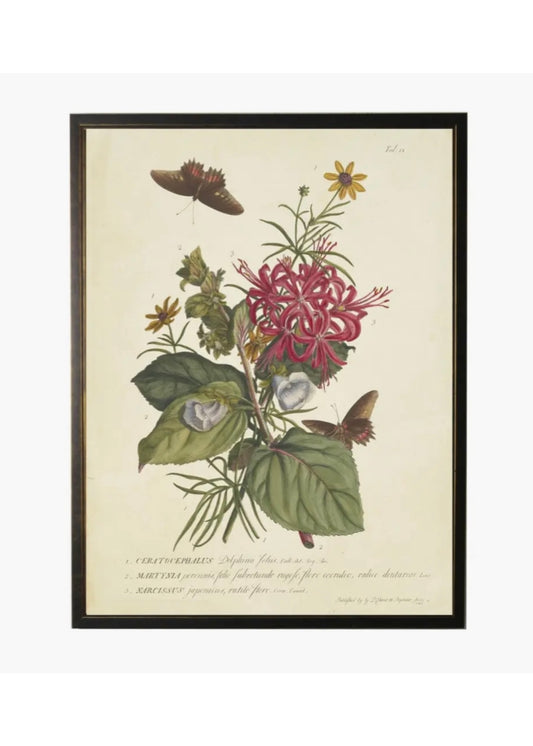 Vintage Floral and Butterfly Print - Black Frame