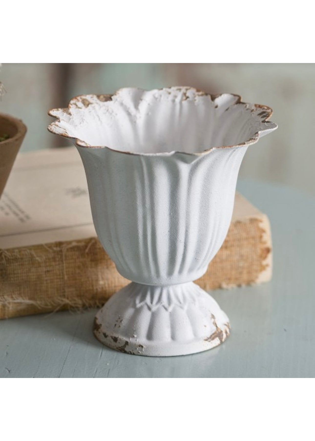 Small Scalloped Cup