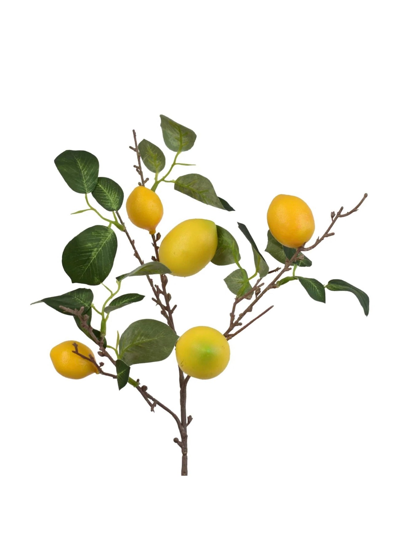 18" Lemon Leaf Spray