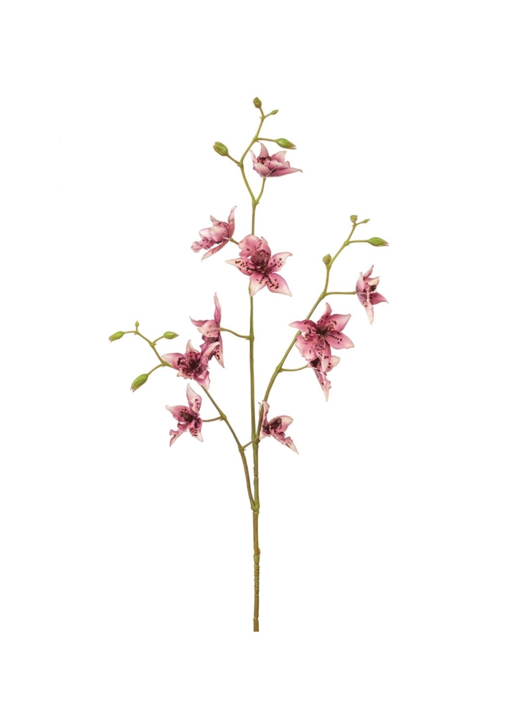 Mauve Tiger Lily Spray