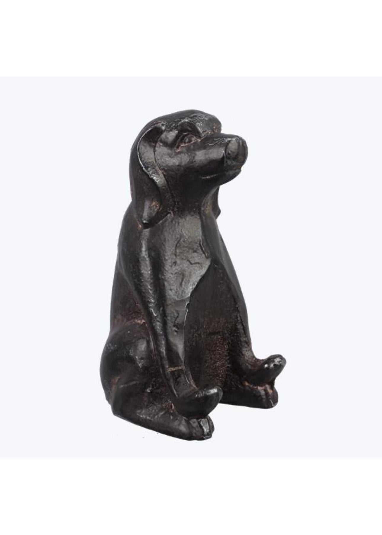 Cast Iron DOG