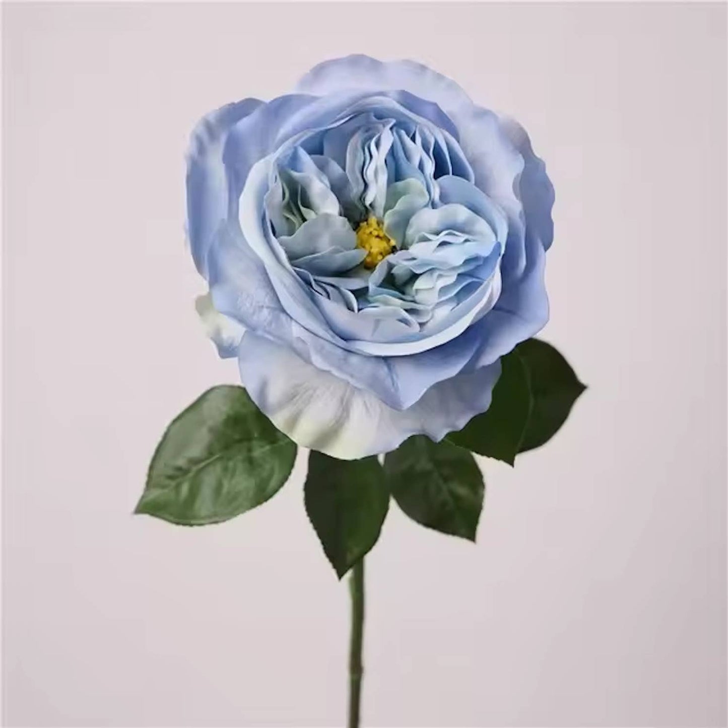 18"Elegant Real touch Juliet Rose-Moisture-touch coating: Soft Blue