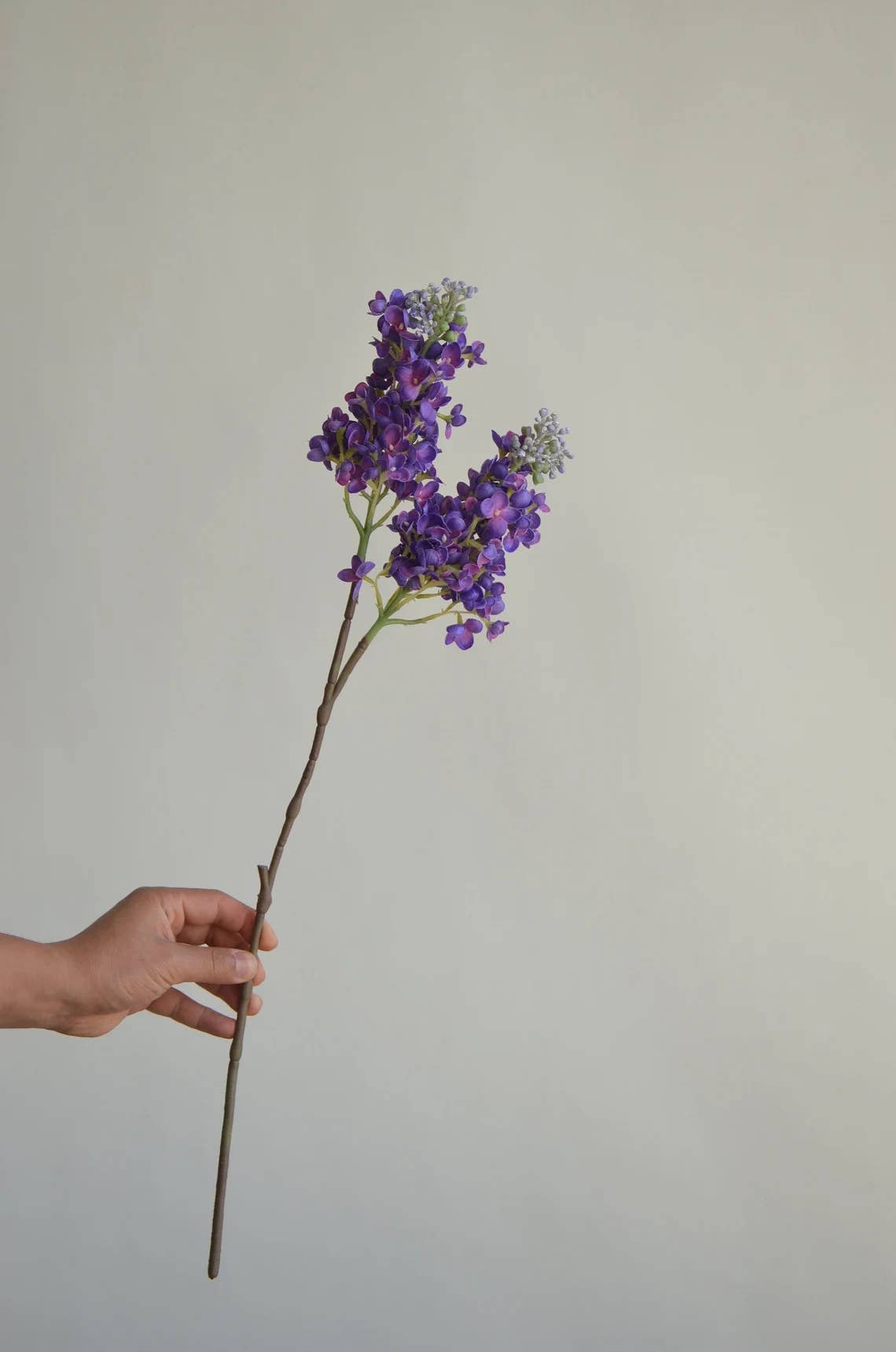 25"Real Touch Lilac: Light Blue