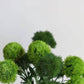 21.5" Realistic Faux Dianthus Green Ball Fresh Green stem: Fresh Green