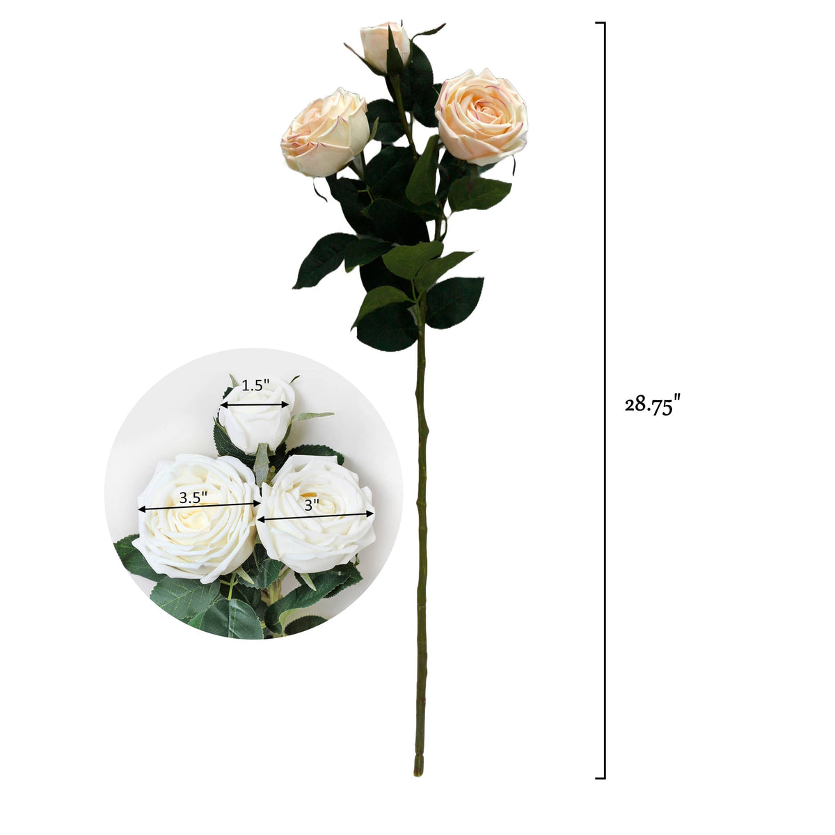 Real Touch Cabbage Rose: Dark Mocha 28.75”