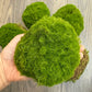 Lifelike Mixed Sizes Artificial Moss pad