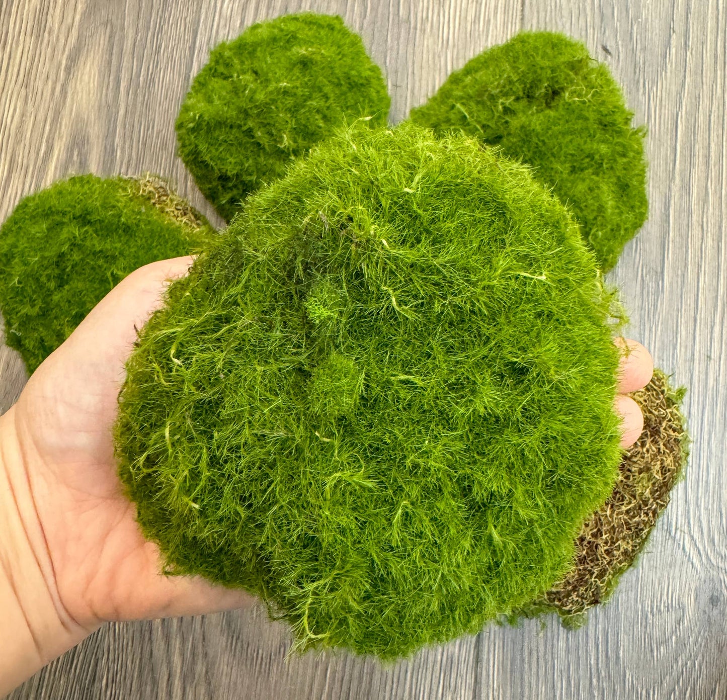 Lifelike Mixed Sizes Artificial Moss pad