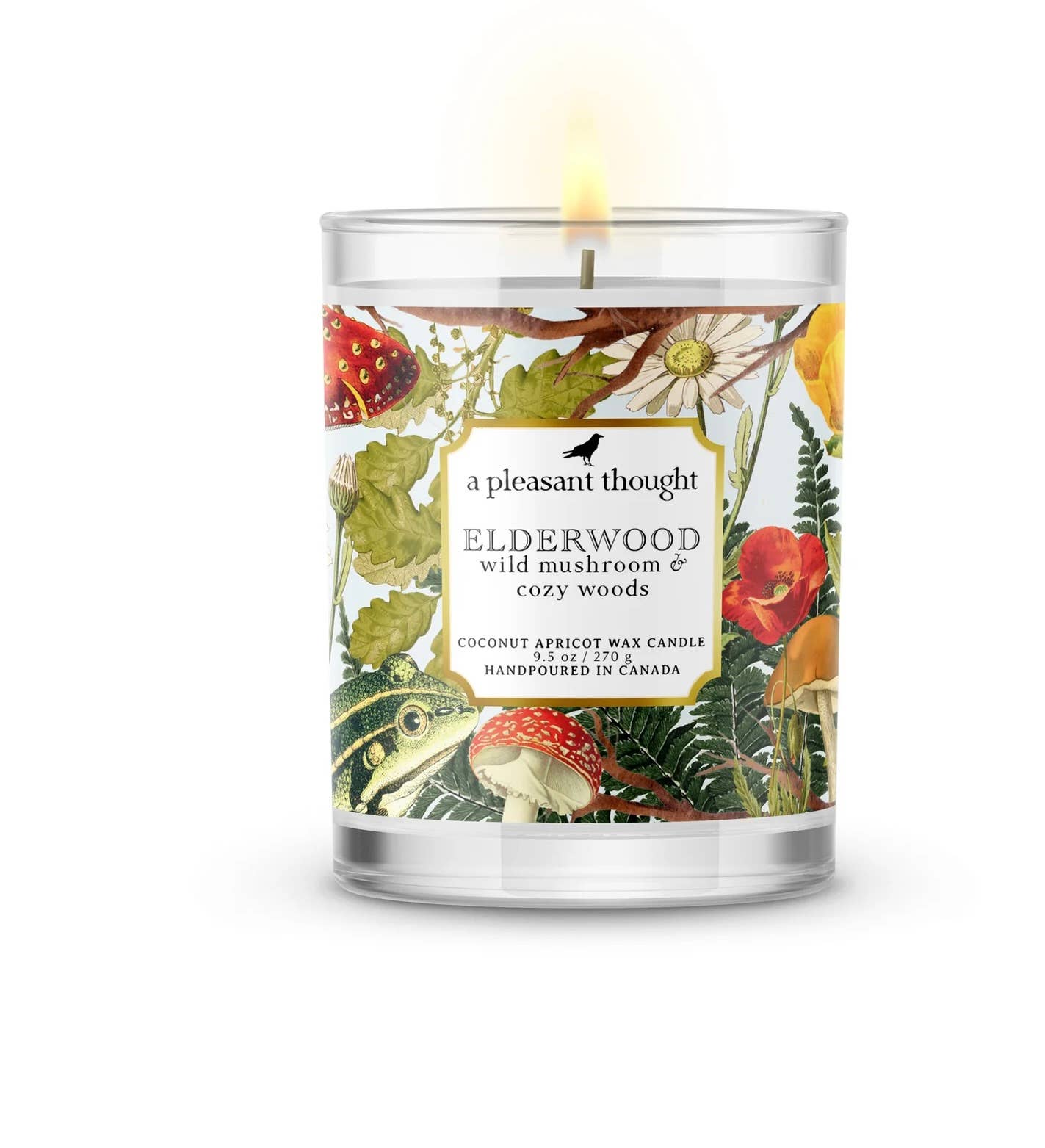 ELDERWOOD | WILD MUSHROOM & COZY WOODS | CANDLE: Wood