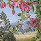 Adult Jigsaw Puzzle Kew: Marianne North: View in the Brisbane Botanic Garden (500 pieces) by: Jigsaw; 1 pages / English