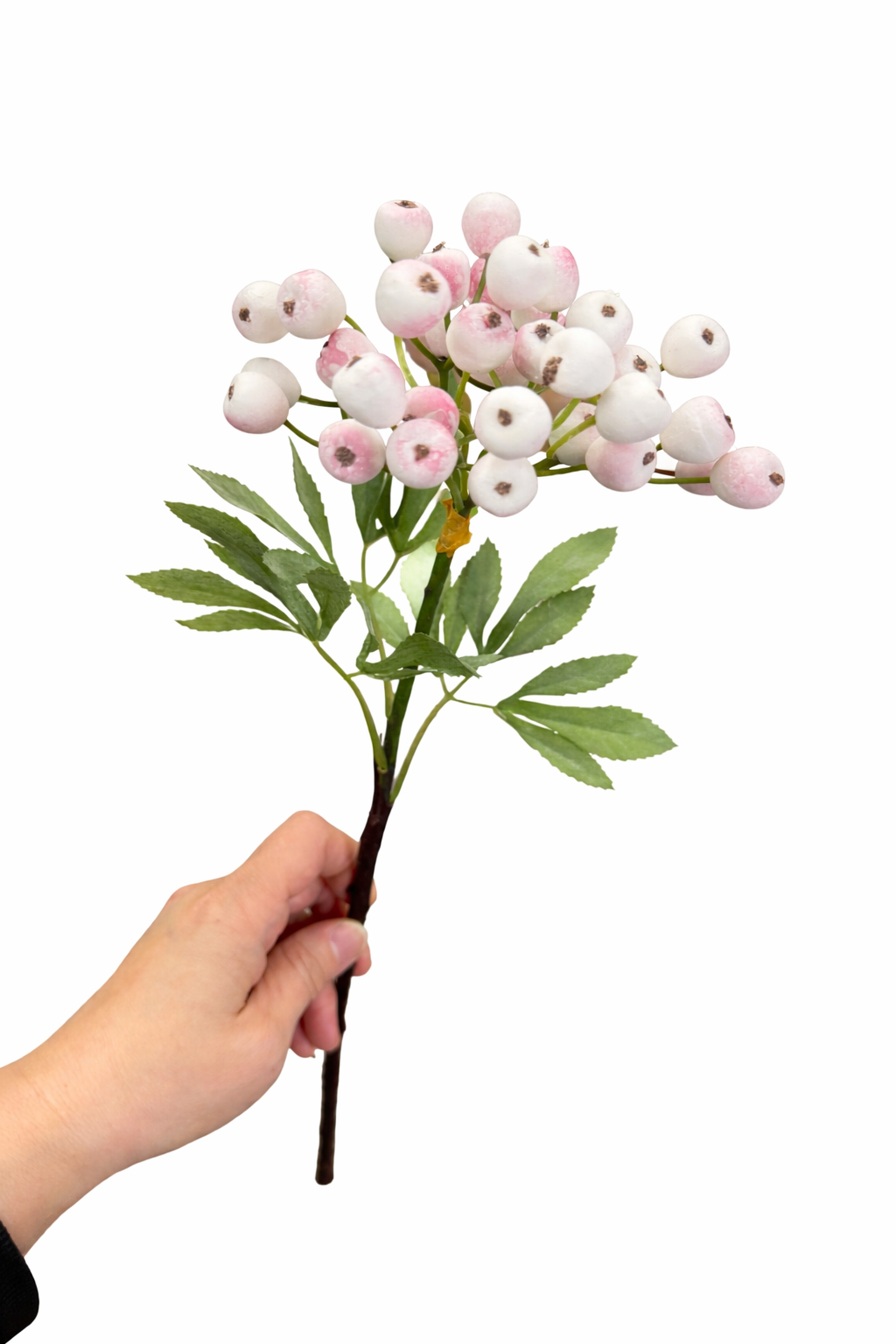 14” Berry Picks Frosty:Peach Champagne