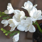 20" Soft Real Touch  Freesia: Soft Coral