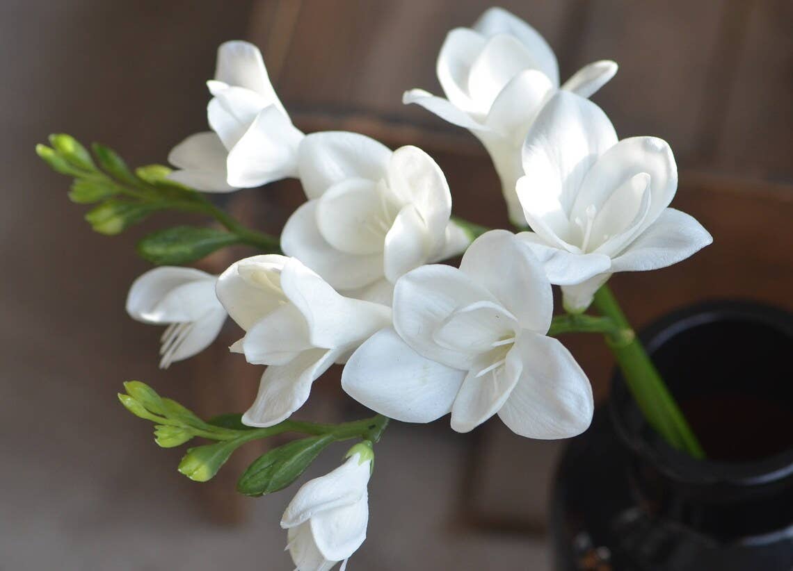 20" Soft Real Touch  Freesia: Soft Coral