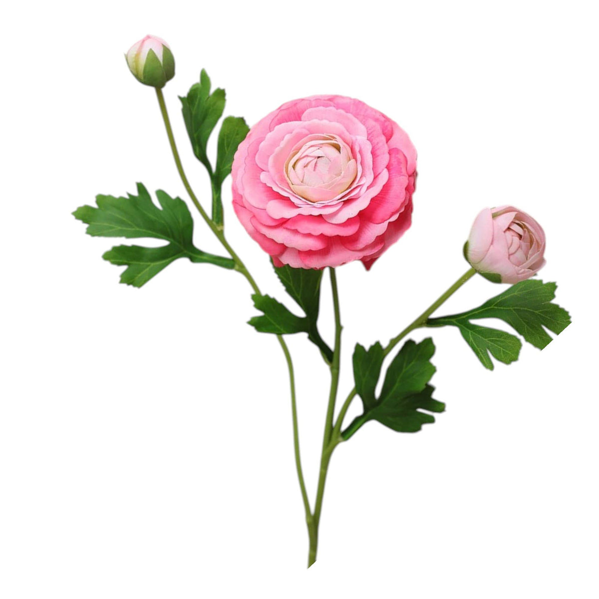18" Real Touch Ranunculus: Coral