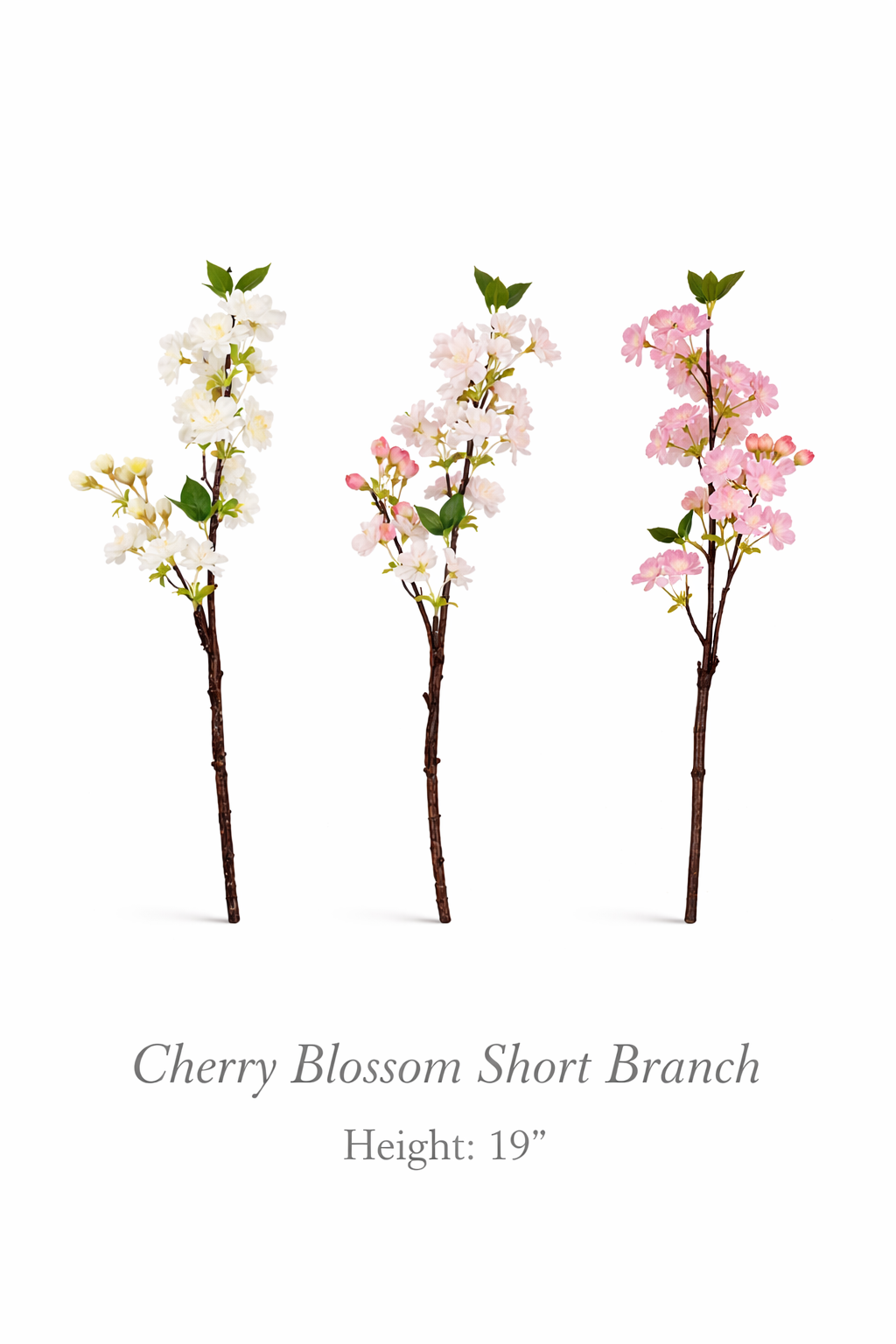 Cherry Blossom Branch : Light Pink / Short-19"