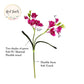 20" Soft Real Touch  Freesia: Soft Coral