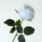 17"Real touch English Austin Cabbage Rose Stem: Pure White