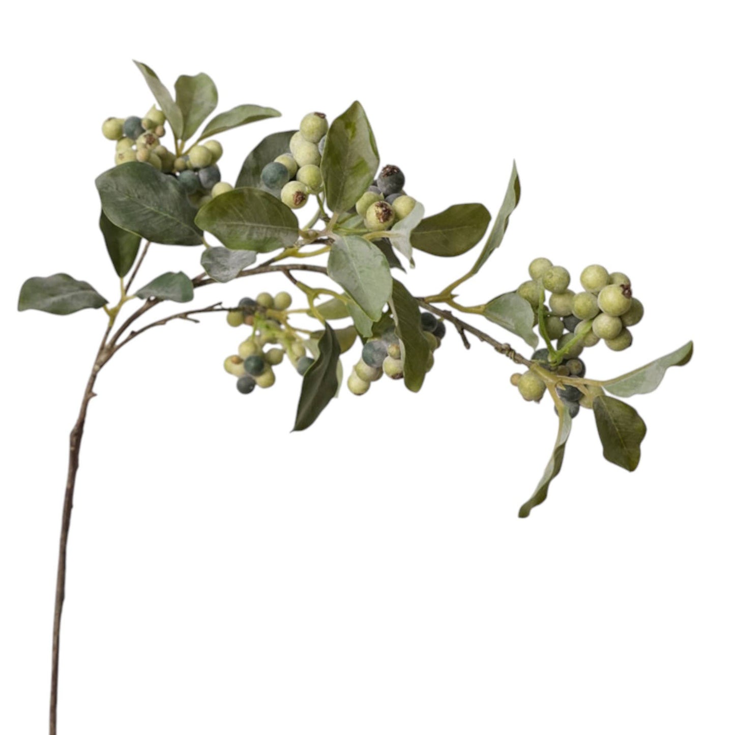 34.5"Desinger's Pick-Artificial Frosty Berry spray: Frosty Black