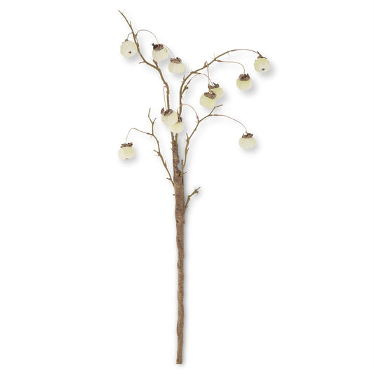 White Mini Pumpkin Branch