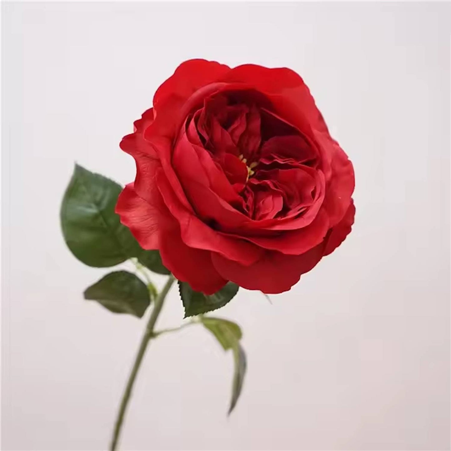 18"Elegant Real touch Juliet Rose-Moisture-touch coating: Soft Blue