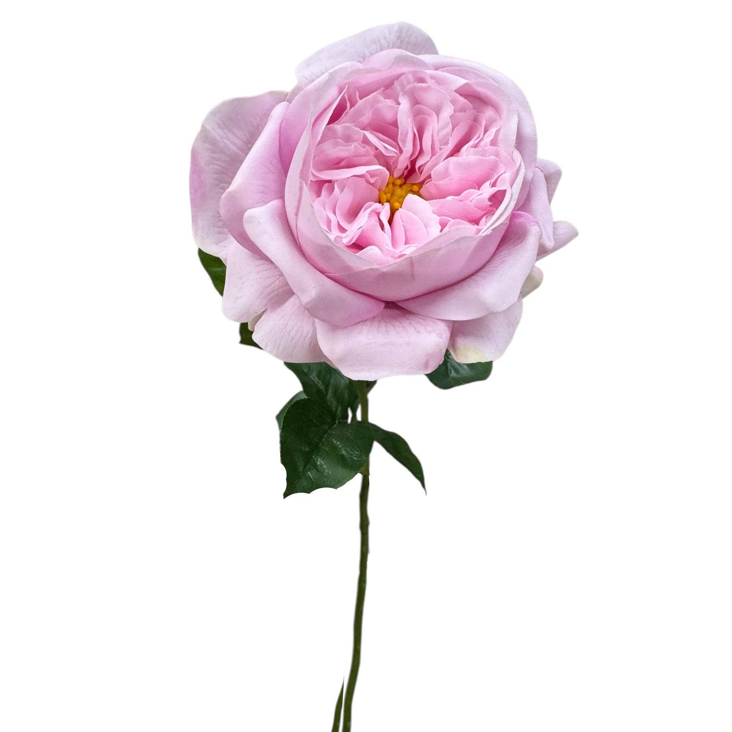 18"Elegant Real touch Juliet Rose-Moisture-touch coating: Soft Blue