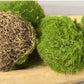 Lifelike Mixed Sizes Artificial Moss pad