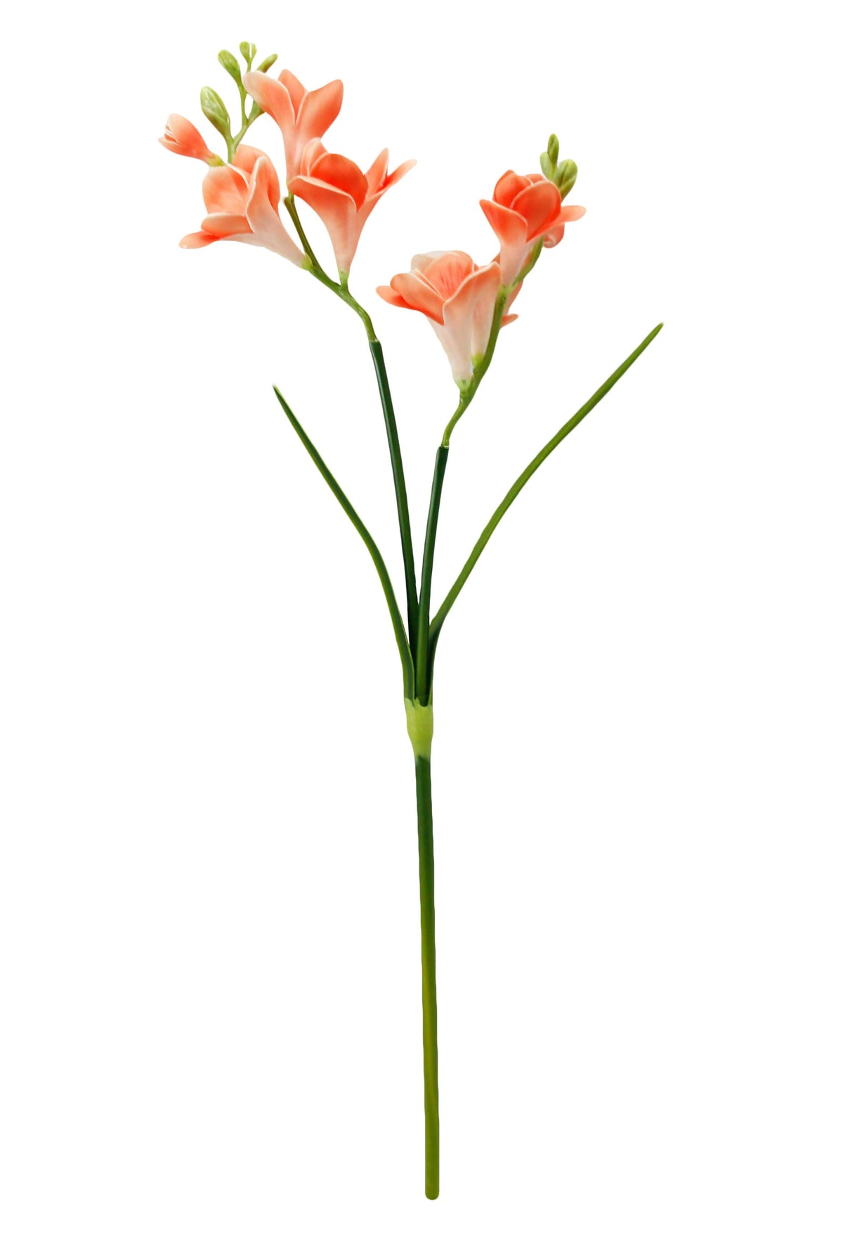 20" Soft Real Touch  Freesia: Soft Coral