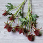 26" Artificial Thistle Eryngium Sea Holly-10Flowers : Orange