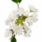 Cherry Blossom Branch : Light Pink / Short-19"