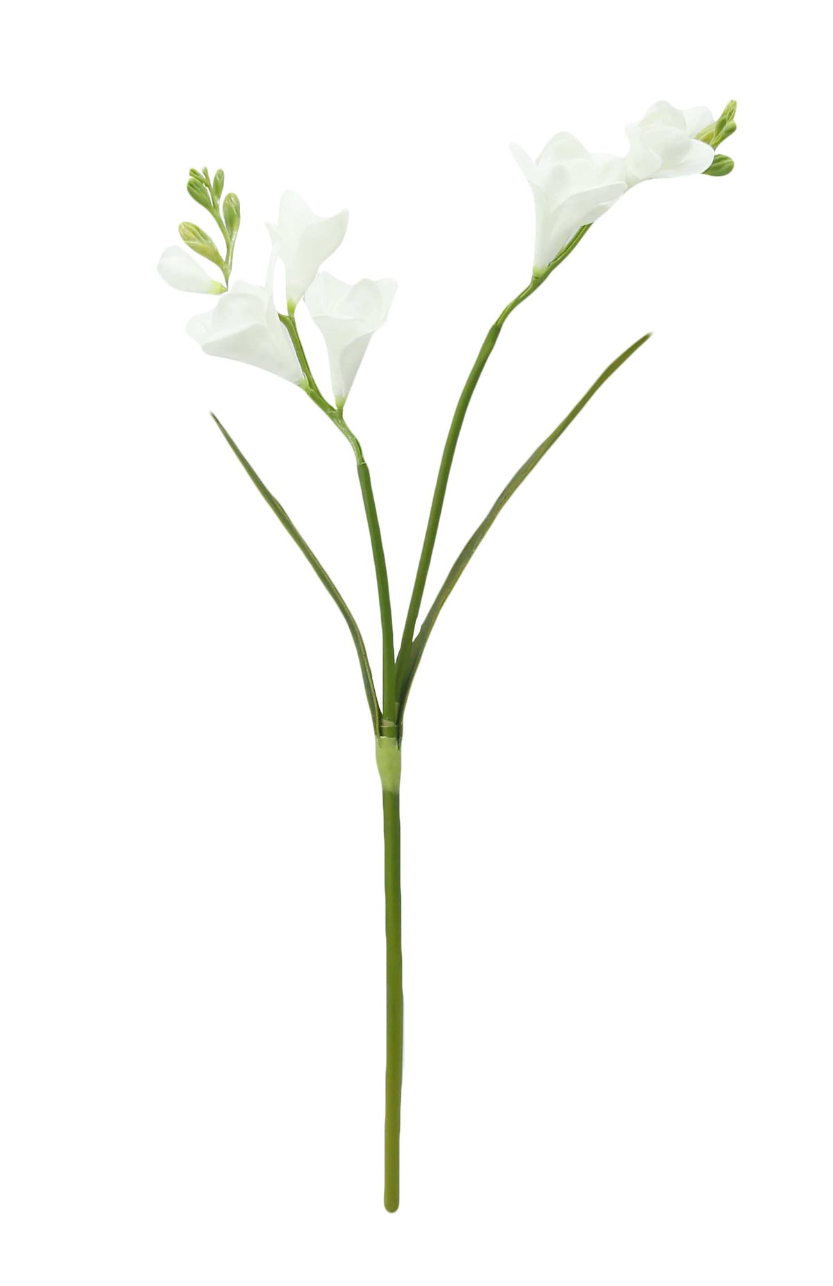 20" Soft Real Touch  Freesia: Soft Coral