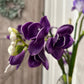 20" Soft Real Touch  Freesia: Soft Coral